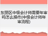 东丽区中级会计师需要年审吗怎么操作(中级会计师年审流程)
