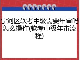 宁河区软考中级需要年审吗怎么操作(软考中级年审流程)
