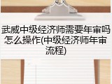 武威中级经济师需要年审吗怎么操作(中级经济师年审流程)
