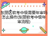 东丽区软考中级需要年审吗怎么操作(东丽软考中级年审流程)