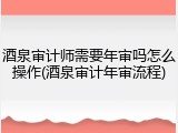酒泉审计师需要年审吗怎么操作(酒泉审计年审流程)