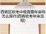 西青区软考中级需要年审吗怎么操作(西青软考年审流程)