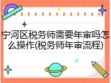 宁河区税务师需要年审吗怎么操作(税务师年审流程)