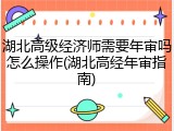 湖北高级经济师需要年审吗怎么操作(湖北高经年审指南)