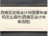 西青区初级会计师需要年审吗怎么操作(西青区会计年审流程)