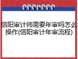 信阳审计师需要年审吗怎么操作(信阳审计年审流程)