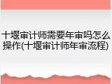 十堰审计师需要年审吗怎么操作(十堰审计师年审流程)