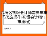 武清区初级会计师需要年审吗怎么操作(初级会计师年审流程)