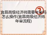 宜昌高级经济师需要年审吗怎么操作(宜昌高级经济师年审流程)