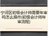 宁河区初级会计师需要年审吗怎么操作(初级会计师年审流程)