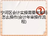 宁河区会计实操需要年审吗怎么操作(会计年审操作流程)