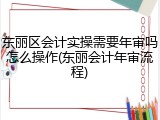 东丽区会计实操需要年审吗怎么操作(东丽会计年审流程)