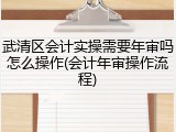 武清区会计实操需要年审吗怎么操作(会计年审操作流程)