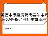 黄石中级经济师需要年审吗怎么操作(经济师年审流程)