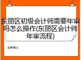 东丽区初级会计师需要年审吗怎么操作(东丽区会计师年审流程)