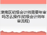 津南区初级会计师需要年审吗怎么操作(初级会计师年审流程)