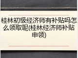 桂林初级经济师有补贴吗怎么领取呢(桂林经济师补贴申领)