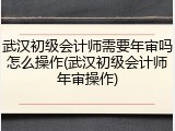 武汉初级会计师需要年审吗怎么操作(武汉初级会计师年审操作)