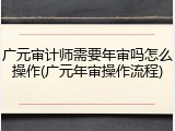 广元审计师需要年审吗怎么操作(广元年审操作流程)