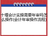 十堰会计实操需要年审吗怎么操作(会计年审操作流程)