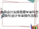 宜昌会计实操需要年审吗怎么操作(会计年审操作流程)