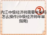 内江中级经济师需要年审吗怎么操作(中级经济师年审指南)