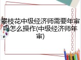 攀枝花中级经济师需要年审吗怎么操作(中级经济师年审)