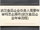 武汉食品企业负责人需要年审吗怎么操作(武汉食品企业年审流程)