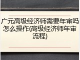 广元高级经济师需要年审吗怎么操作(高级经济师年审流程)