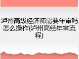 泸州高级经济师需要年审吗怎么操作(泸州高经年审流程)