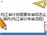 内江审计师需要年审吗怎么操作(内江审计年审流程)