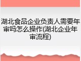 湖北食品企业负责人需要年审吗怎么操作(湖北企业年审流程)