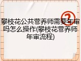 攀枝花公共营养师需要年审吗怎么操作(攀枝花营养师年审流程)