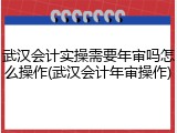 武汉会计实操需要年审吗怎么操作(武汉会计年审操作)