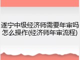 遂宁中级经济师需要年审吗怎么操作(经济师年审流程)
