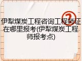 伊犁煤炭工程咨询工程师证在哪里报考(伊犁煤炭工程师报考点)