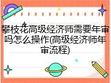 攀枝花高级经济师需要年审吗怎么操作(高级经济师年审流程)