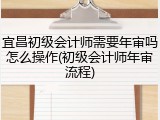 宜昌初级会计师需要年审吗怎么操作(初级会计师年审流程)