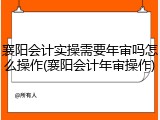 襄阳会计实操需要年审吗怎么操作(襄阳会计年审操作)