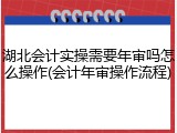 湖北会计实操需要年审吗怎么操作(会计年审操作流程)