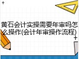 黄石会计实操需要年审吗怎么操作(会计年审操作流程)