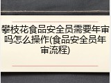 攀枝花食品安全员需要年审吗怎么操作(食品安全员年审流程)