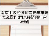 南京中级经济师需要年审吗怎么操作(南京经济师年审流程)
