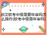 武汉软考中级需要年审吗怎么操作(软考中级需年审吗)