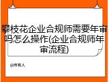 攀枝花企业合规师需要年审吗怎么操作(企业合规师年审流程)