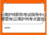 云南护师职称考试指导中心哪里有(云南护师考点查询)