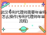 武汉专利代理师需要年审吗怎么操作(专利代理师年审流程)