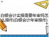 白银会计实操需要年审吗怎么操作(白银会计年审操作)