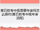黄石软考中级需要年审吗怎么操作(黄石软考中级年审流程)