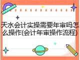 天水会计实操需要年审吗怎么操作(会计年审操作流程)